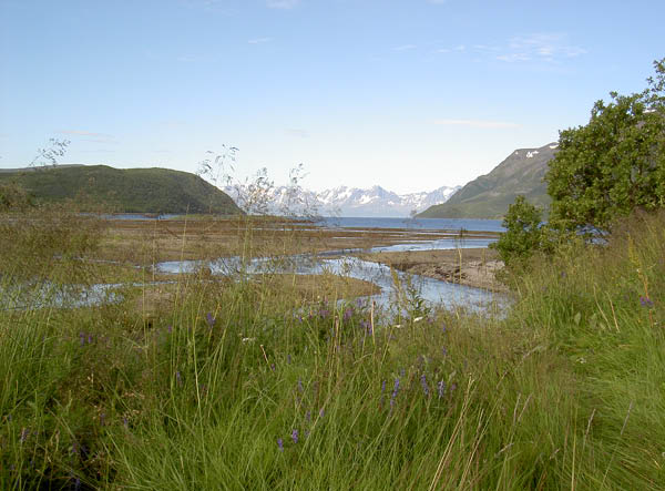 PICT0024