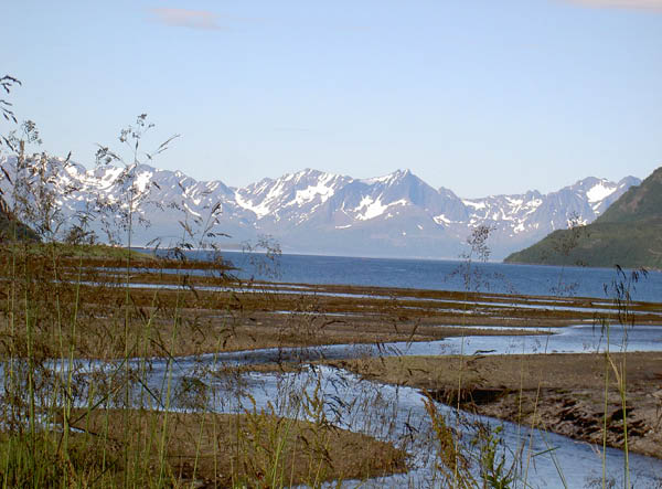 PICT0025