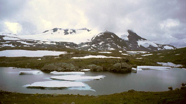 imm029