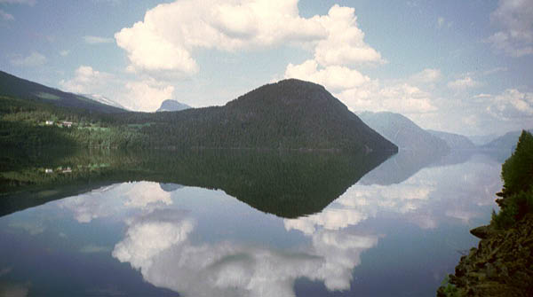 imm050