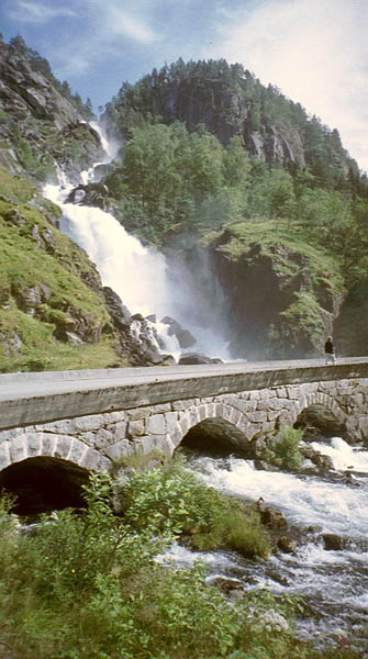 imm105