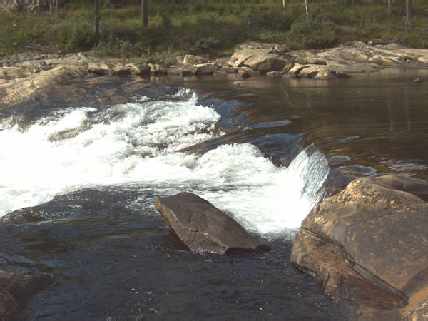 IMG00041