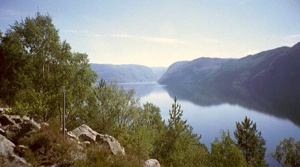 imm081