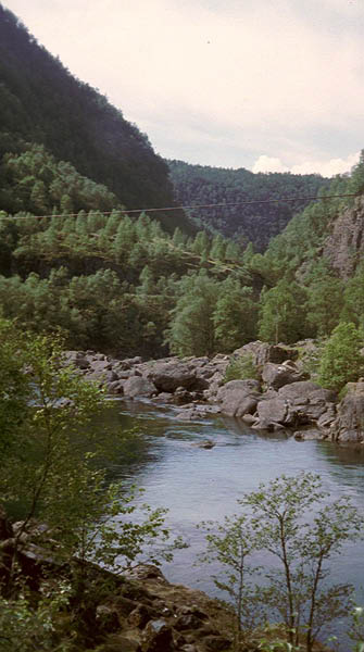 imm076