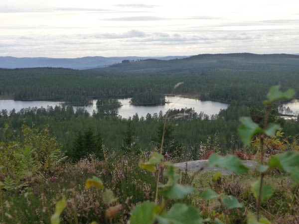 P1000888