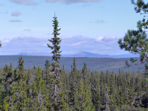 P1000979
