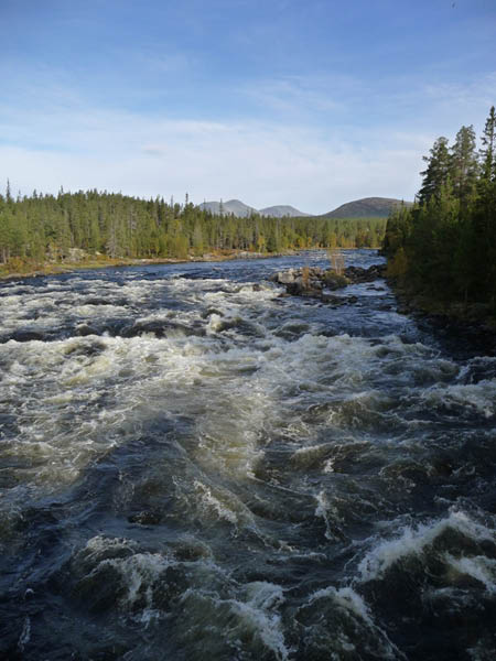 P1000992