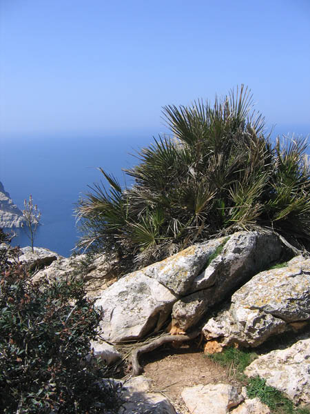 Mallorca