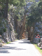 Mallorca