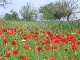 Mallorca