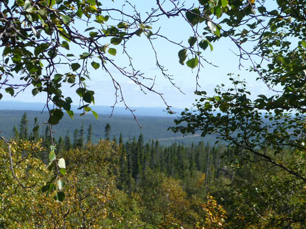 P1000978
