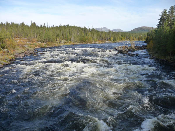 P1000991