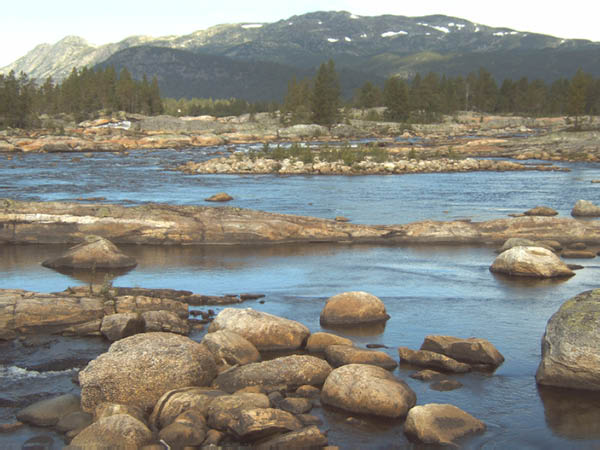 IMG00038-1