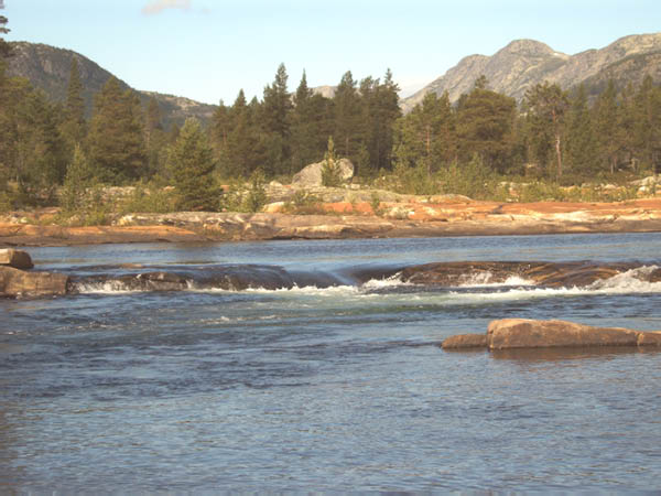 IMG00043-1