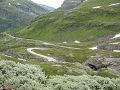 IMG_0291-1